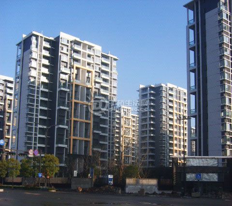 S6000420.jpg