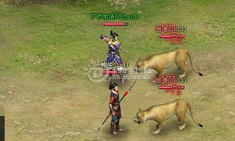 2.jpg