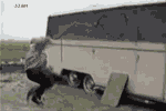 ο.gif