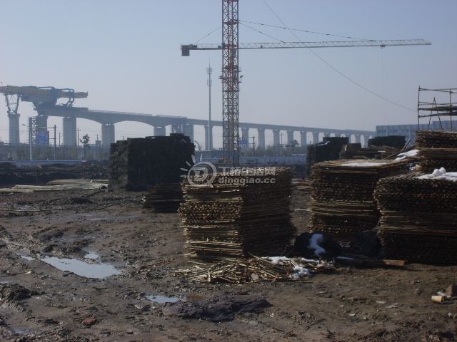 S6000105.JPG