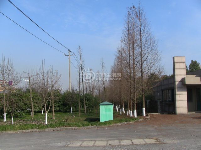 IMG_1374.JPG