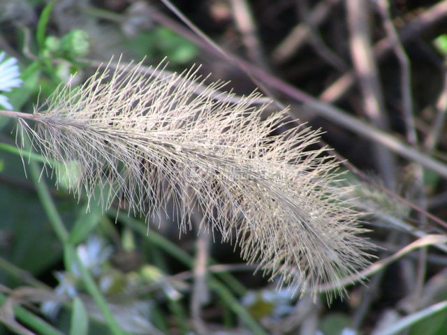 IMG_1380.JPG