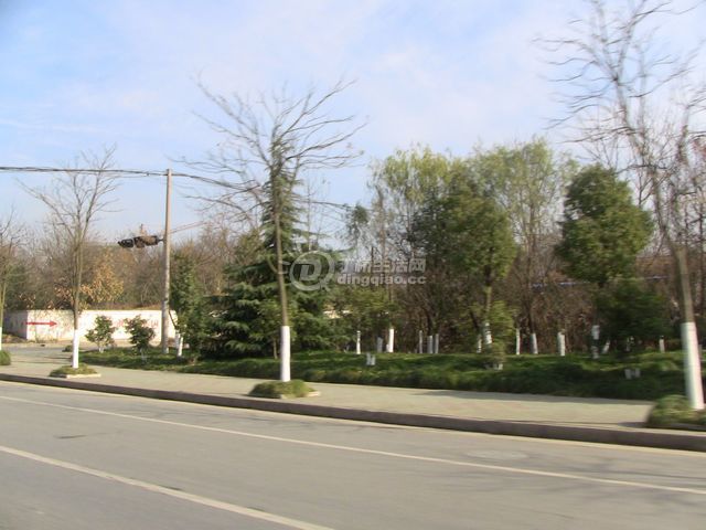 IMG_1400.JPG
