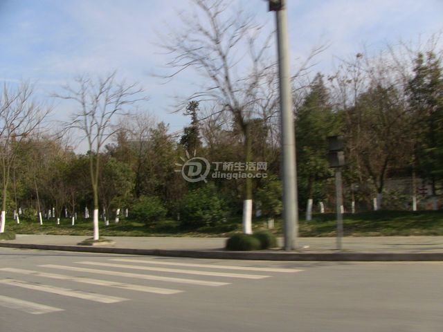 IMG_1401.JPG