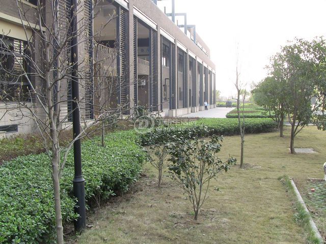 IMG_1414.JPG