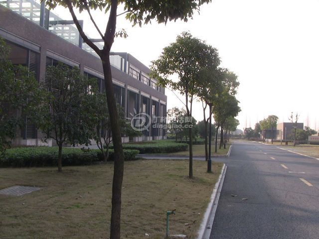 IMG_1415.JPG