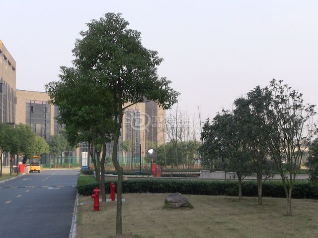 IMG_1417.JPG