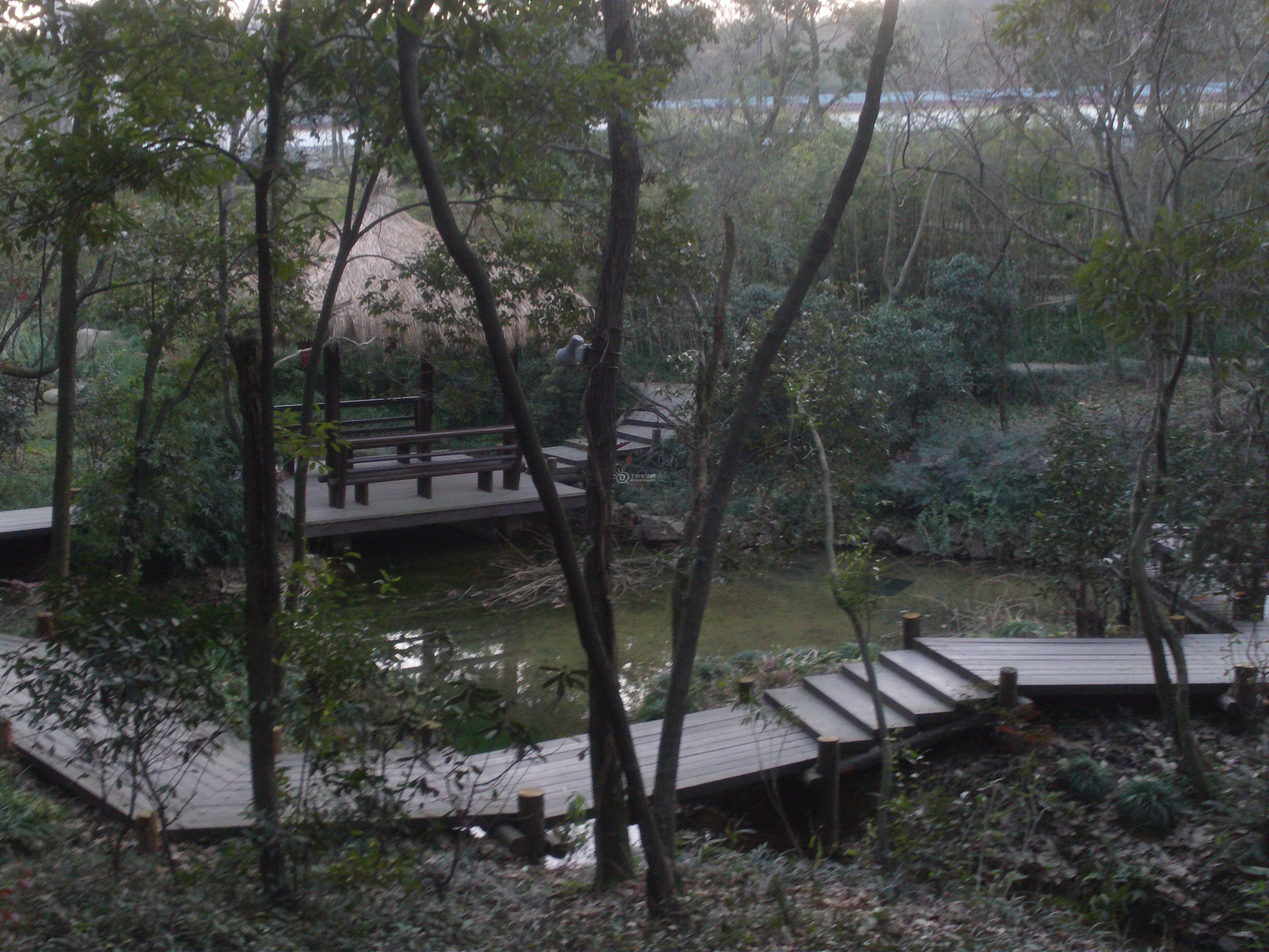 FILE0804.JPG