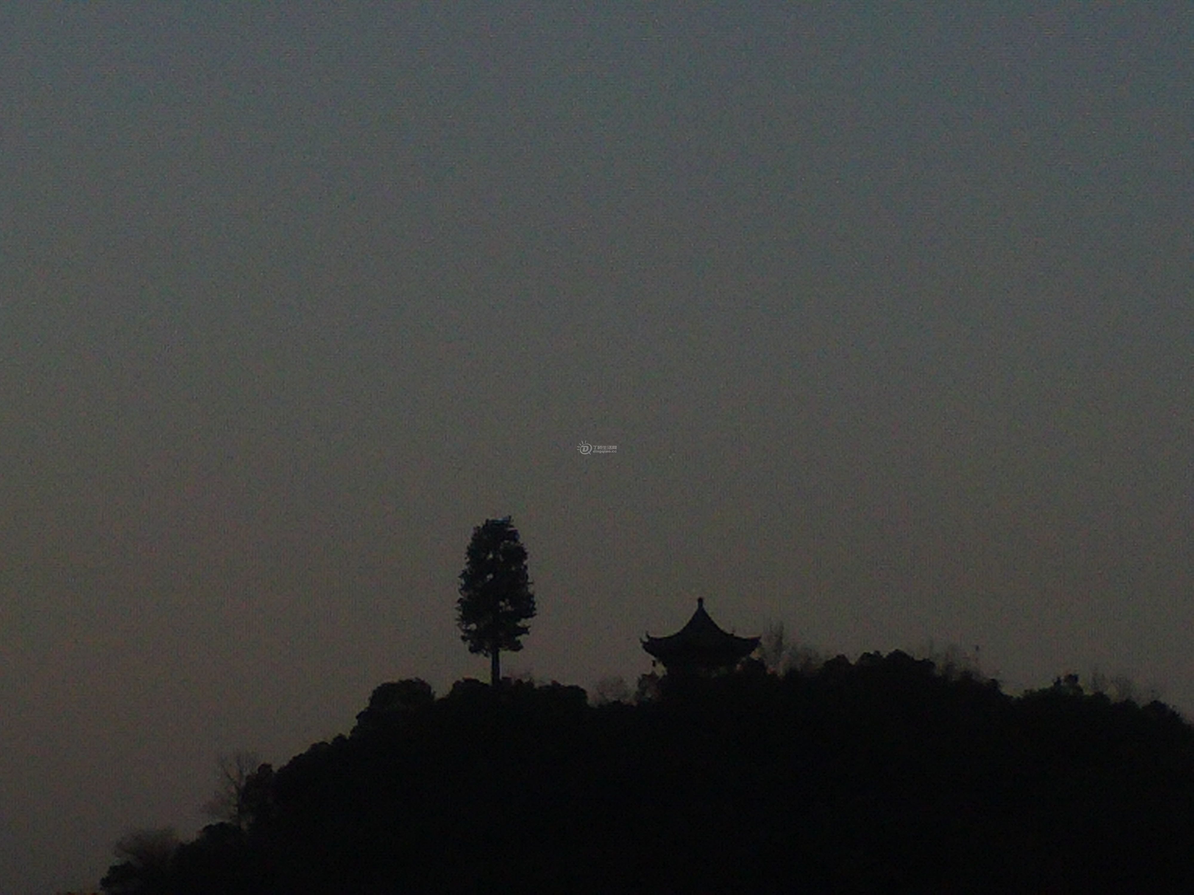 FILE0811.JPG