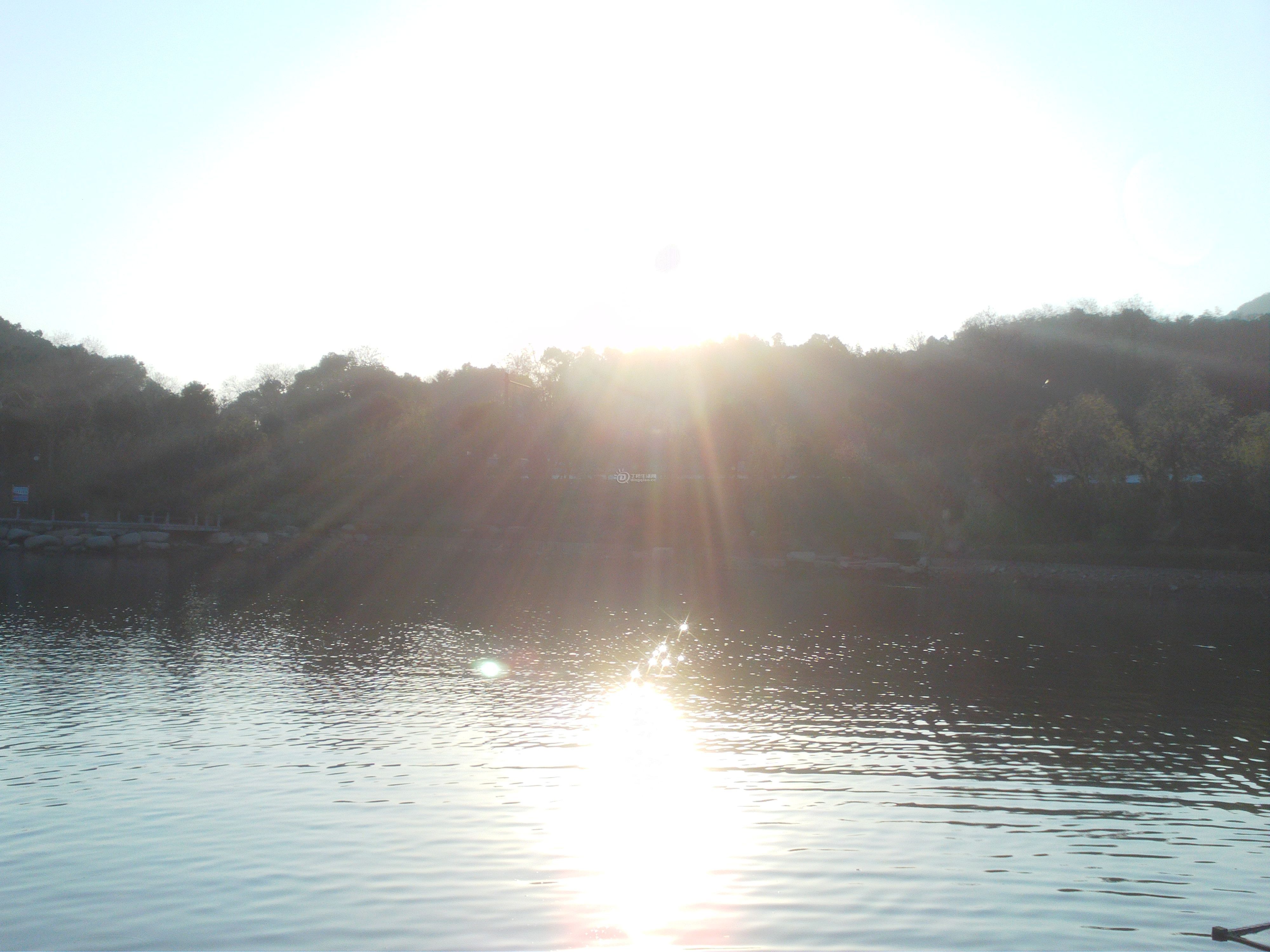 FILE0764.JPG