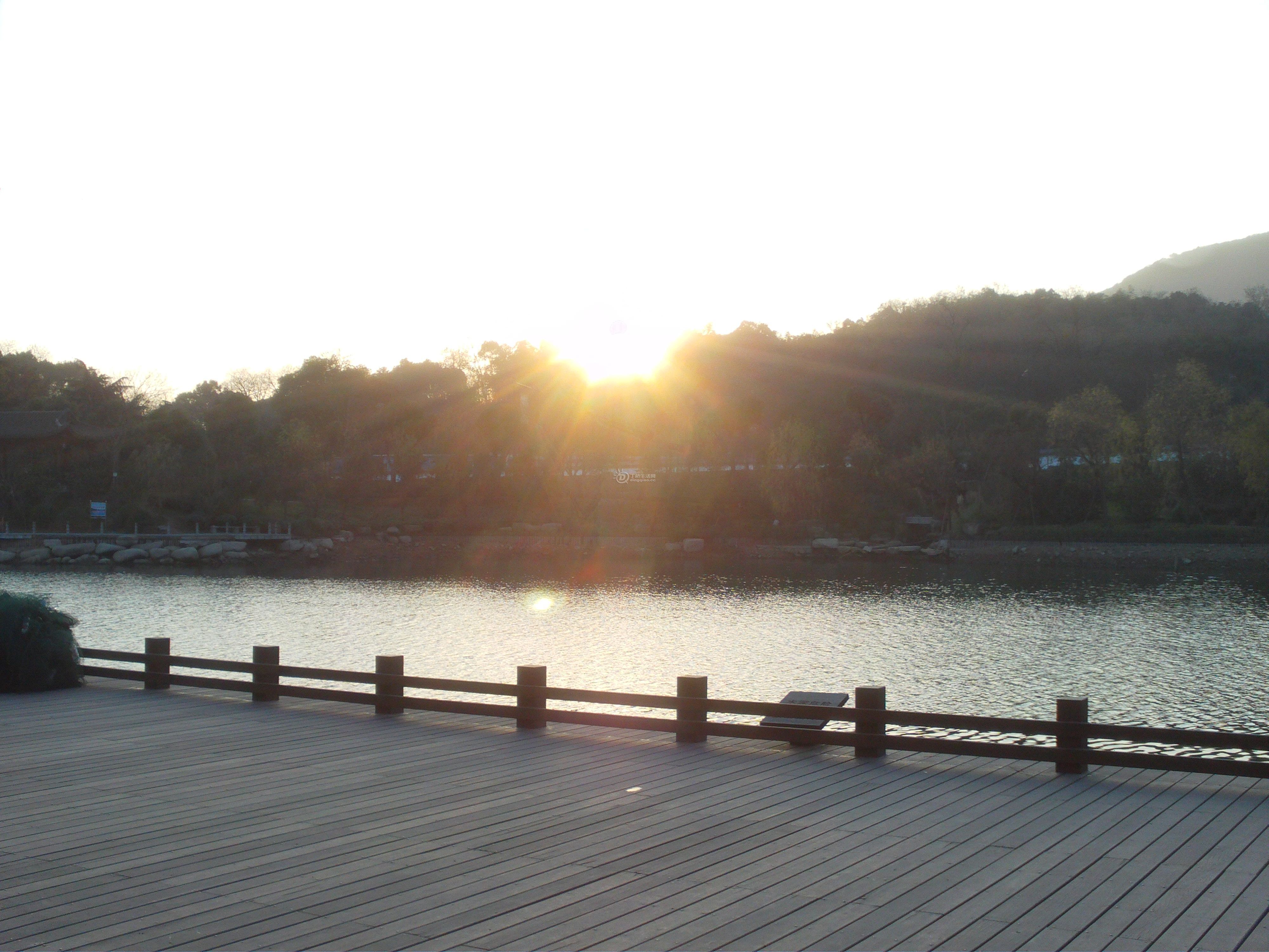 FILE0768.JPG