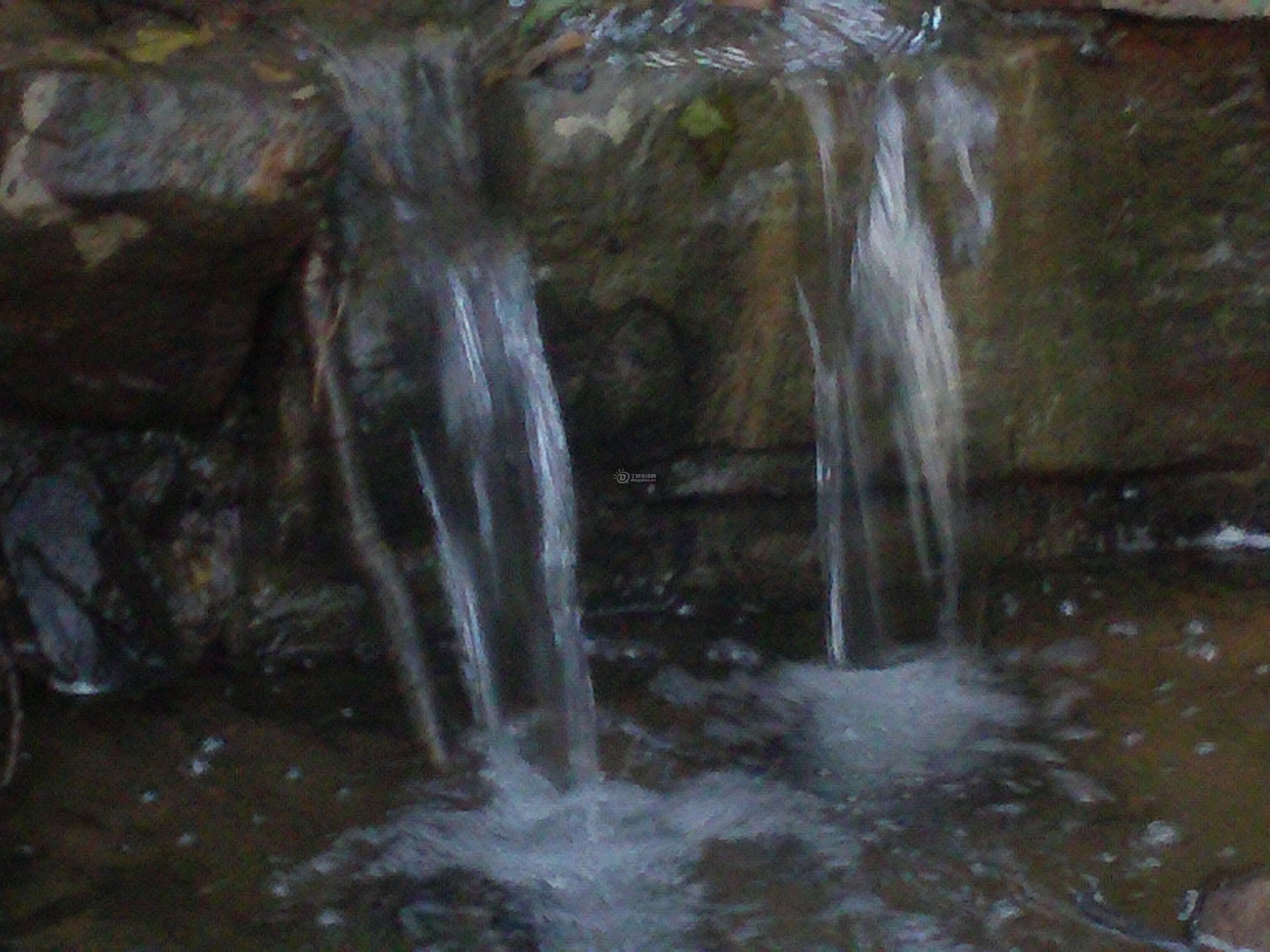 FILE0781.JPG