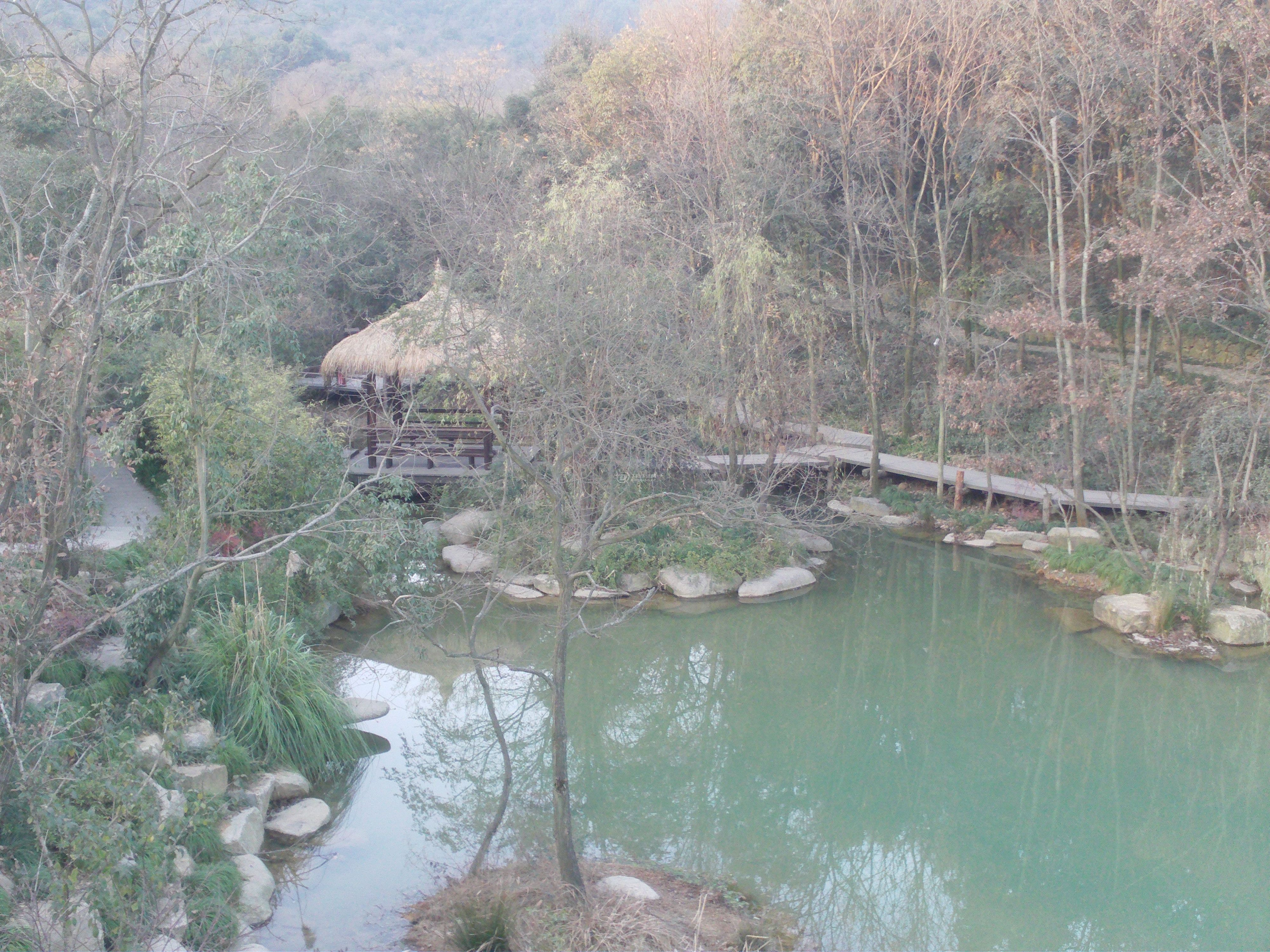 FILE0771.JPG