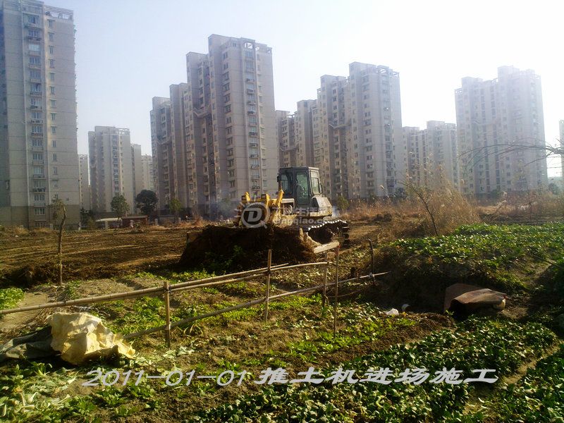 20110101320_.jpg