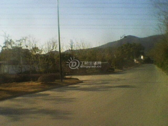 IMG0166A.jpg