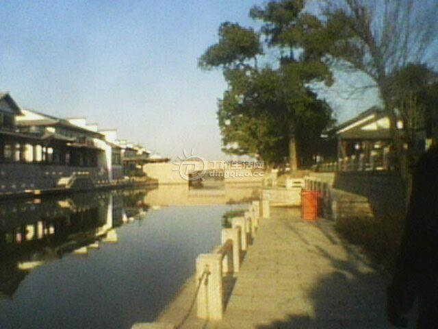 IMG0181A.jpg