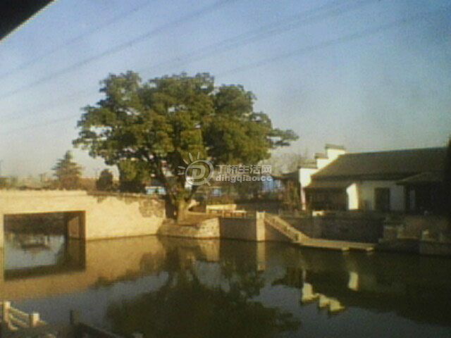 IMG0192A.jpg