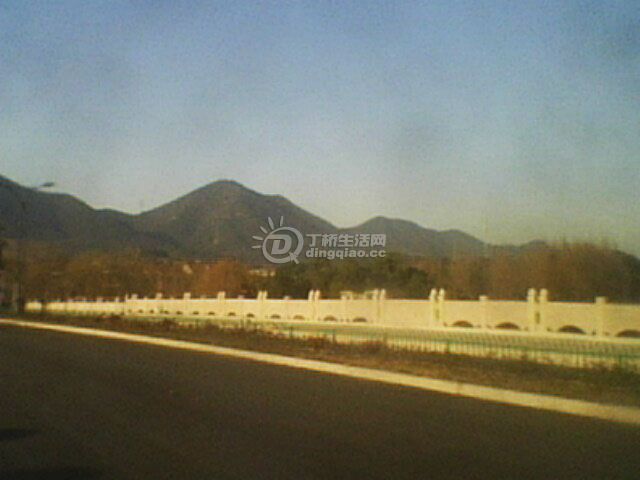 IMG0198A.jpg
