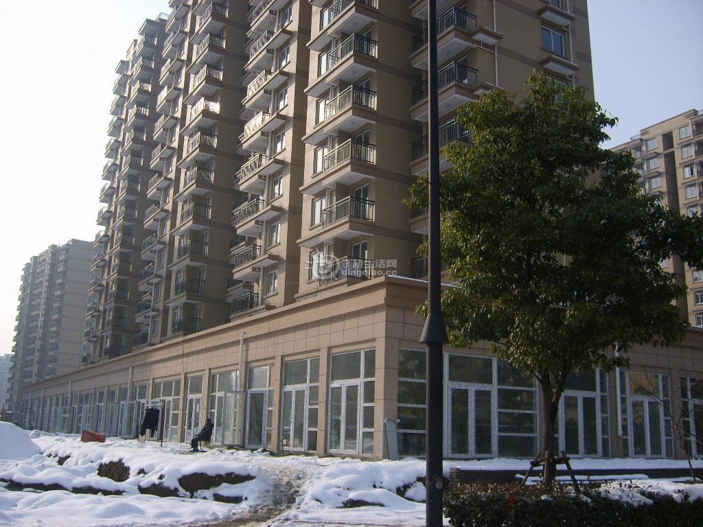 S6000172.JPG