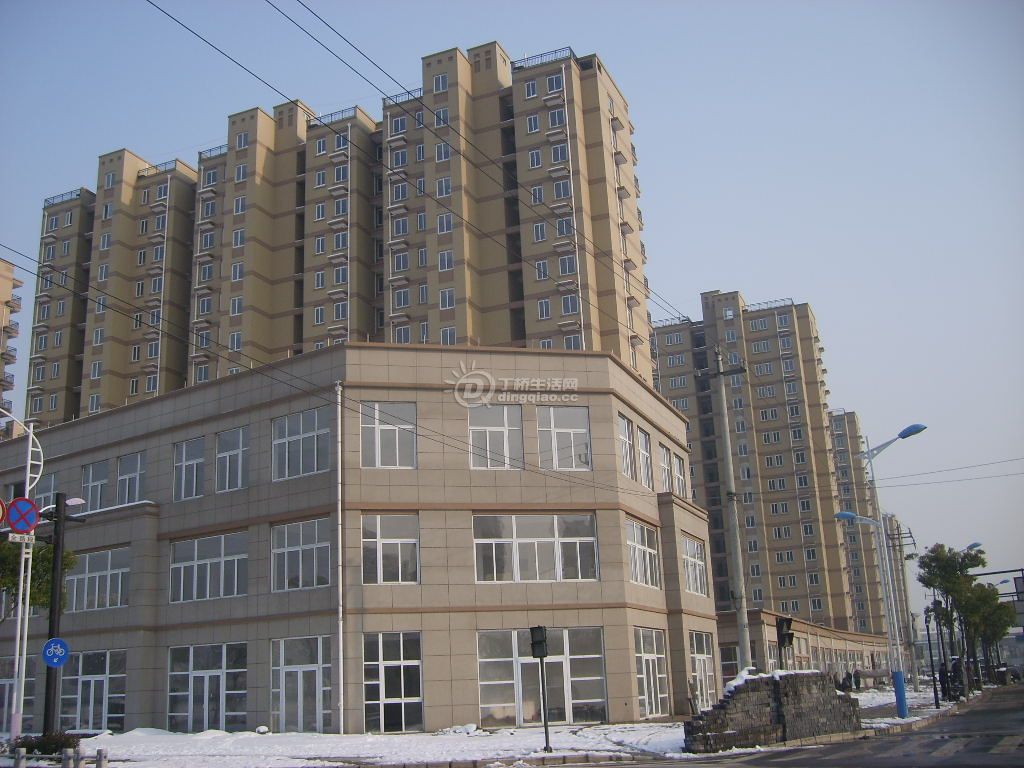 S6000174.JPG