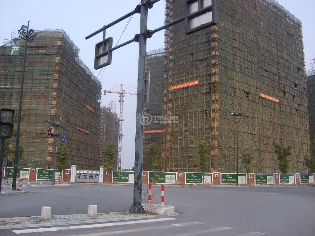 S6000305.JPG