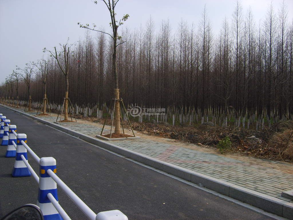 S6000302.JPG