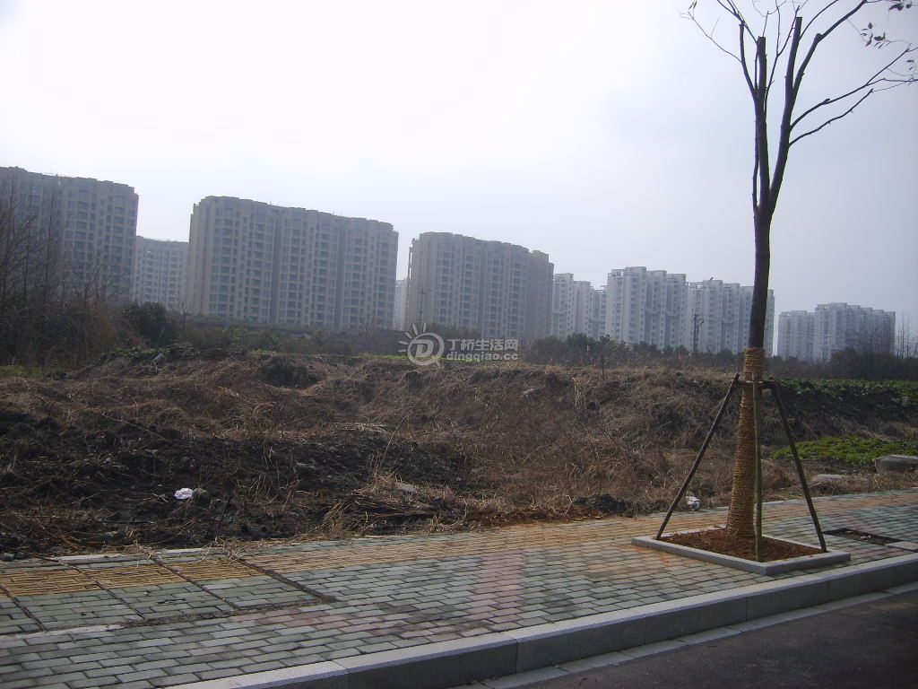 S6000303.JPG