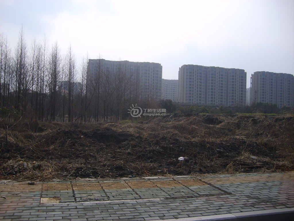 S6000304.JPG