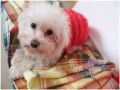 thumb_20110213_659cd6bcd0a0a20c3e78JrjTMKeGXrFy.jpg
