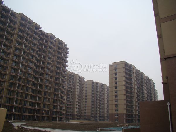 nEO_IMG_DSC00290.jpg