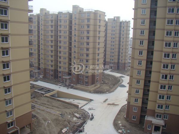 nEO_IMG_DSC00306.jpg