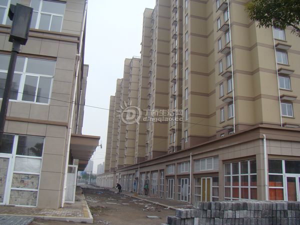 nEO_IMG_DSC00335.jpg