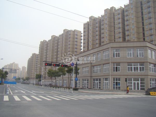 nEO_IMG_DSC00338.jpg