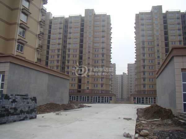 nEO_IMG_DSC00342.jpg