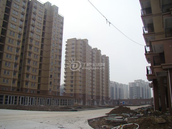 nEO_IMG_DSC00343.jpg