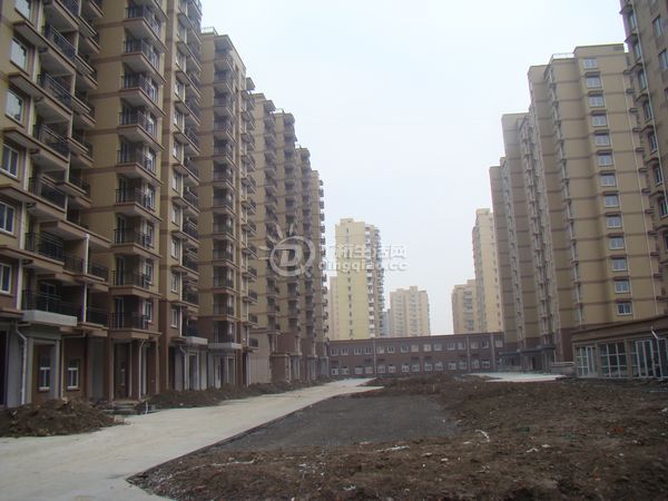 nEO_IMG_DSC00347.jpg