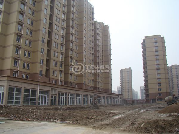 nEO_IMG_DSC00351.jpg