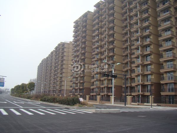 nEO_IMG_DSC00354.jpg