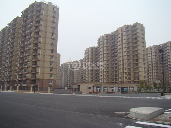 nEO_IMG_DSC00356.jpg