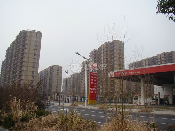 nEO_IMG_DSC00357.jpg