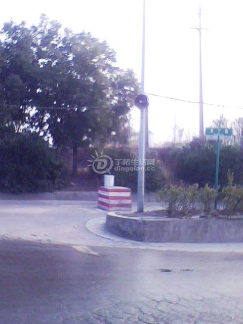 IMG0529A.jpg