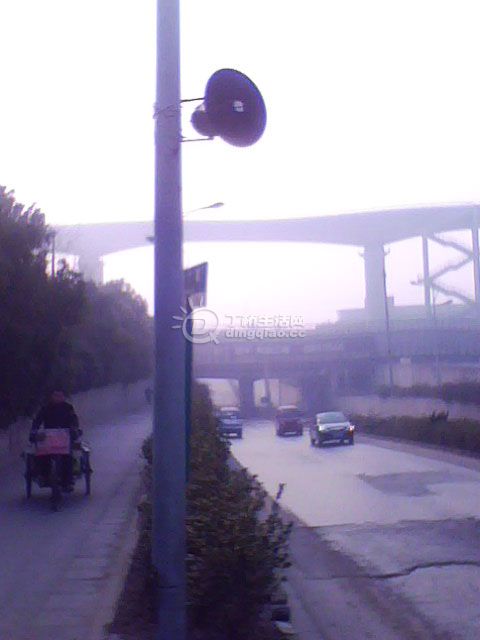 IMG0530A.jpg