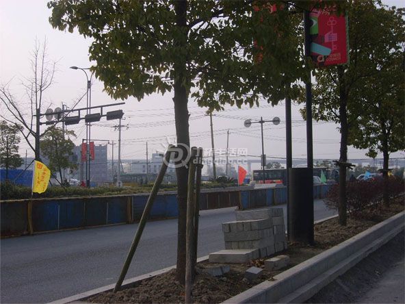 S6000112.jpg