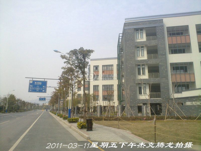201103112452_1.jpg