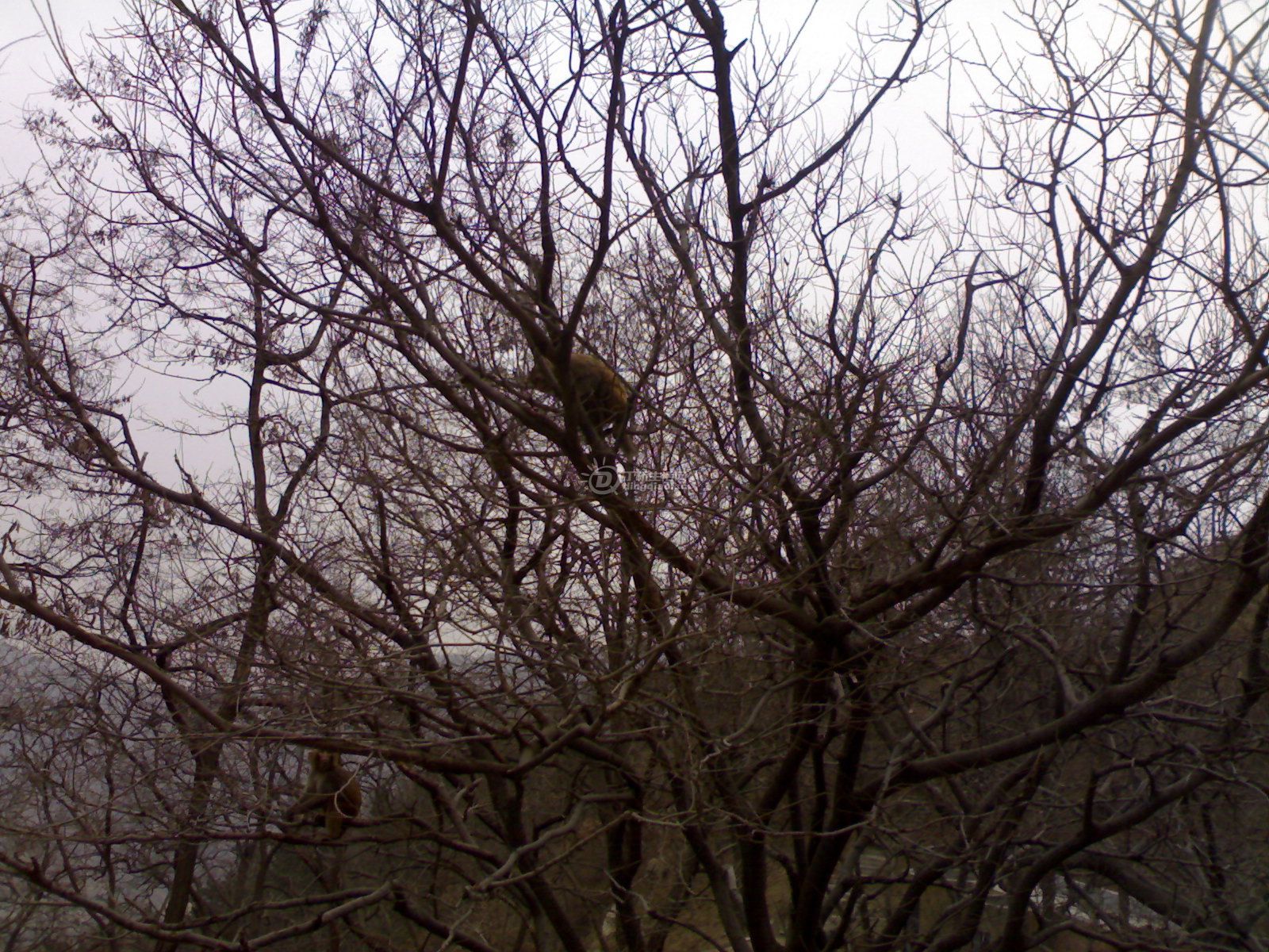 20110320859.jpg