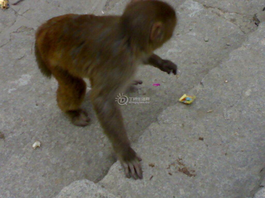 20110320866.jpg