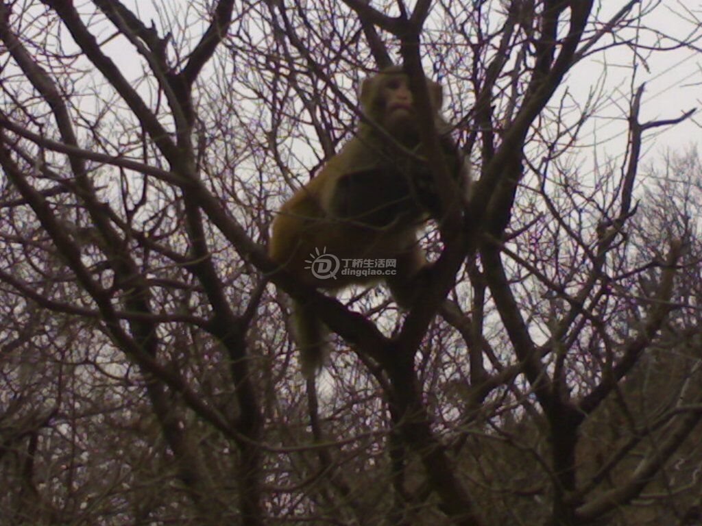20110320867.jpg