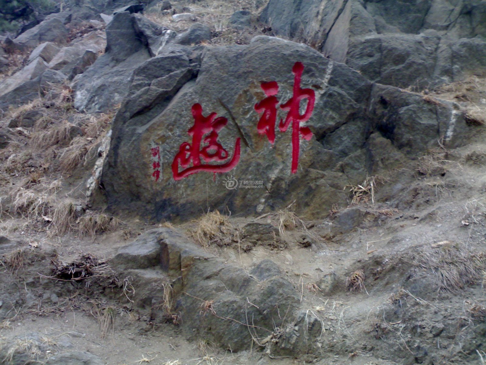20110320882.jpg