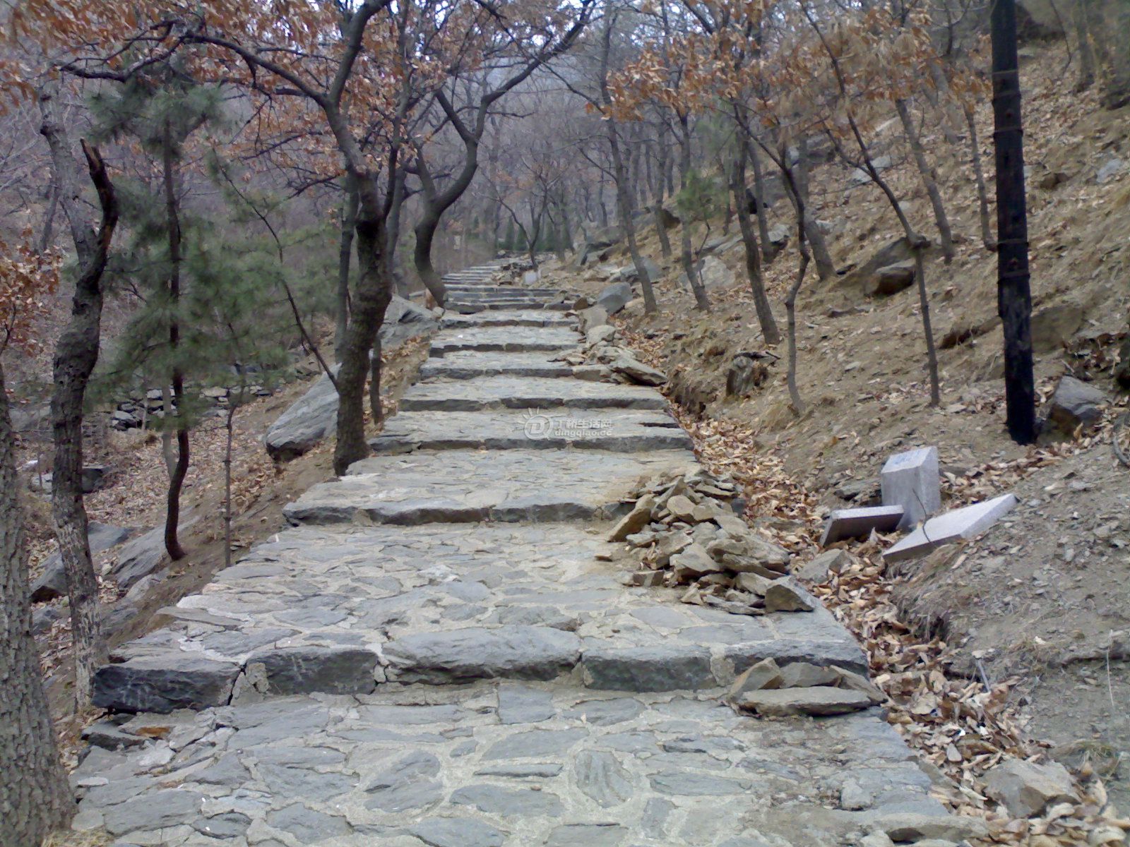 20110320828.jpg