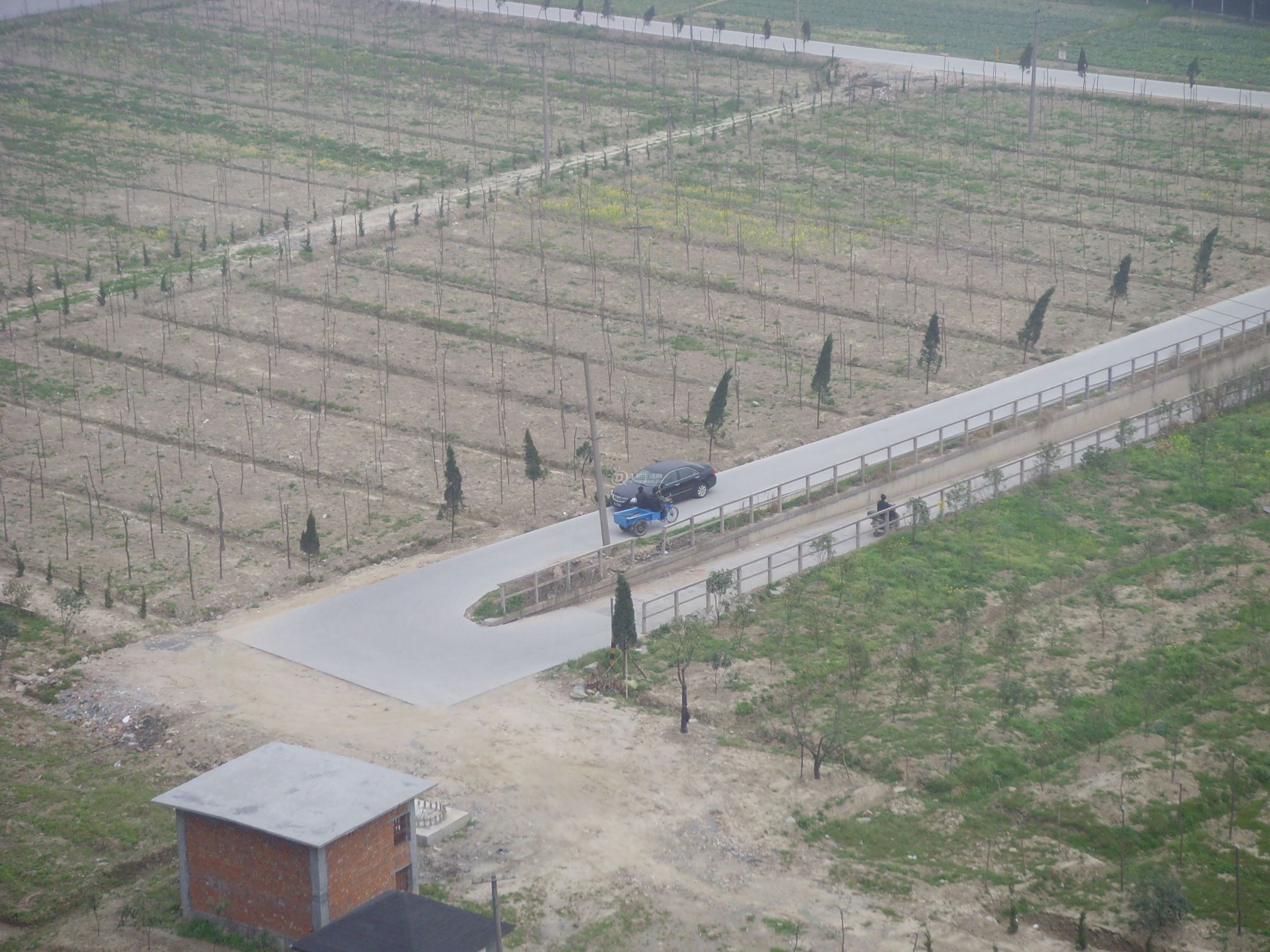 SNV31341.JPG